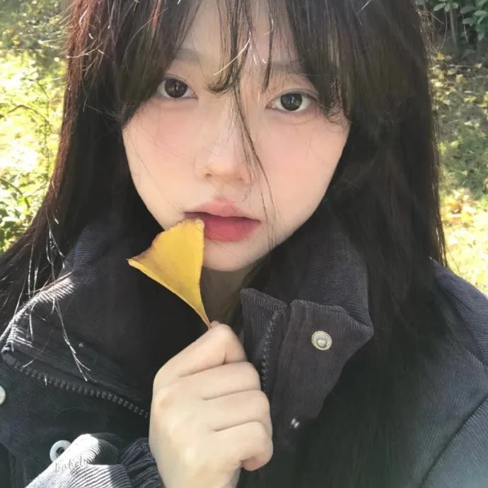 情场世界波